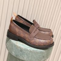 Louis Vuitton LV Bubble Loafers Unisex Damier Canvas Brown